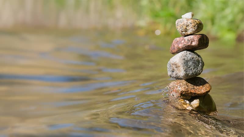 Rebalancing the Scales: A Therapeutic Look at Household Division of Labor